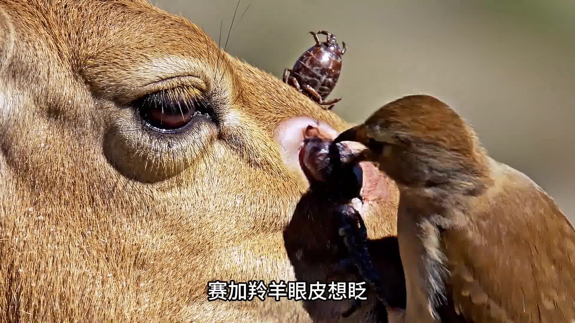 你的温柔换来的是一辈子的健康