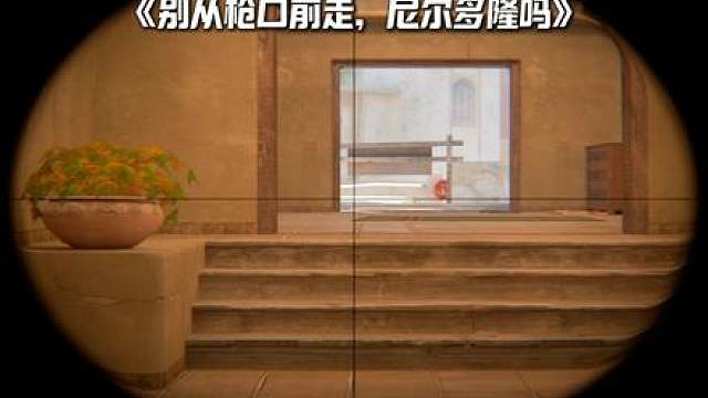 《神枪手》 我说别从枪口前走，尼尔多隆吗