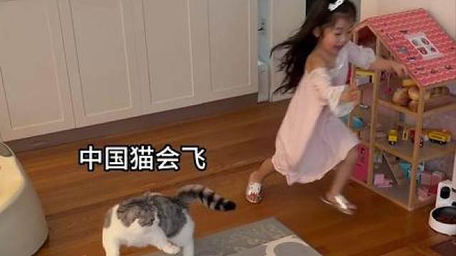 每天都激烈战斗的猪咪和人类幼崽 太可爱了