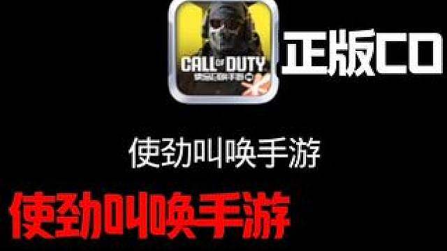 怎么看是不是正版CO