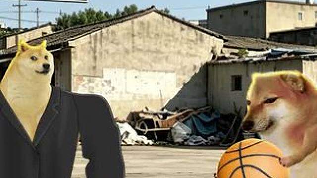 又没进你装啥
