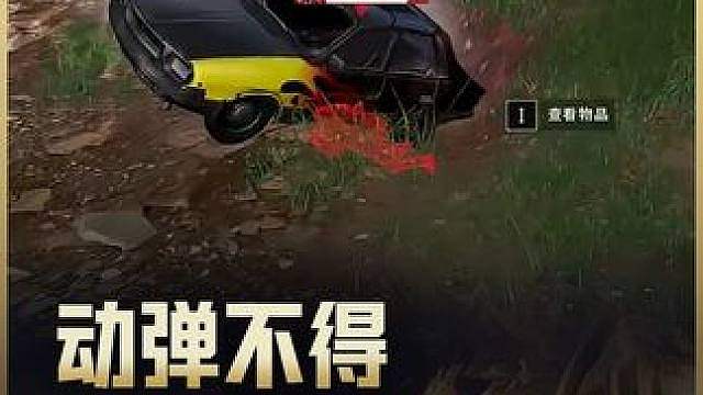 动弹不得 L1ttle1ee：我应该在车里 【PCL 秋季赛 高光时刻】