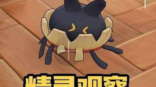 精灵观察：毛头小蛛家族。冲啊扫地机器蛛！
