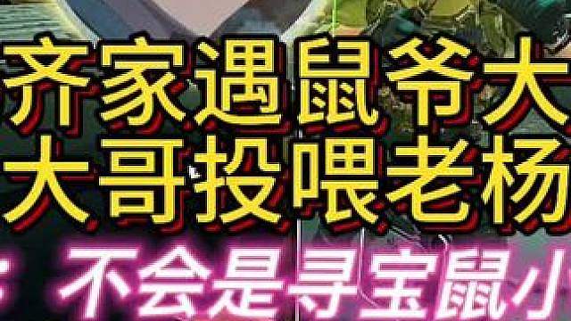 杨齐家绿裤子杀手被鼠爷大哥养上了！