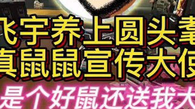 老飞宇鼠鼠宣传大使！