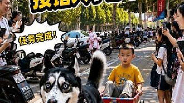 让二哈接小主人放学，结果接错人了它都不知道，笑死人不偿命