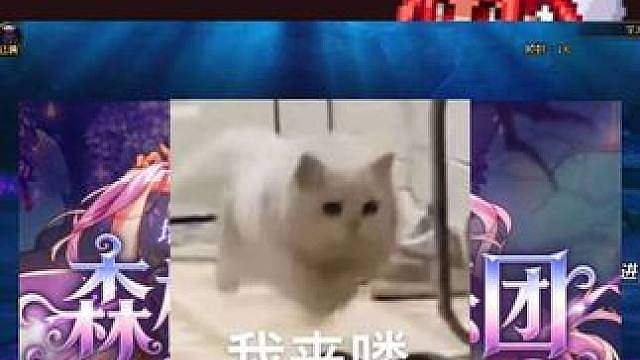 DNF金秋版本省流汇总，一分钟看完全部内容！