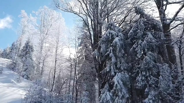 你的”自我”是由什么构成的？