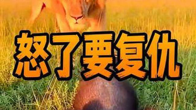记仇的平头哥