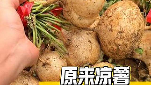 这个真是救命冷知识了