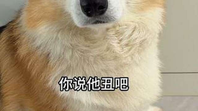 你说它丑吧它还丑的挺耐看！