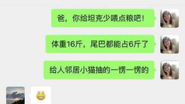 萌宠出道计划
