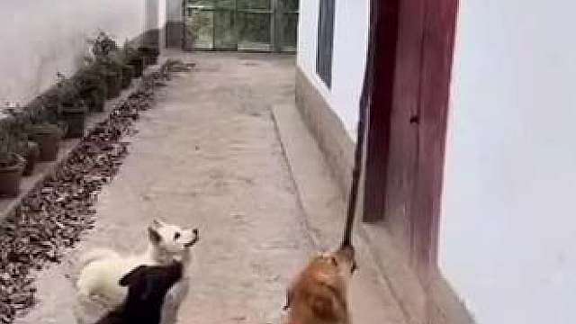 这下好了