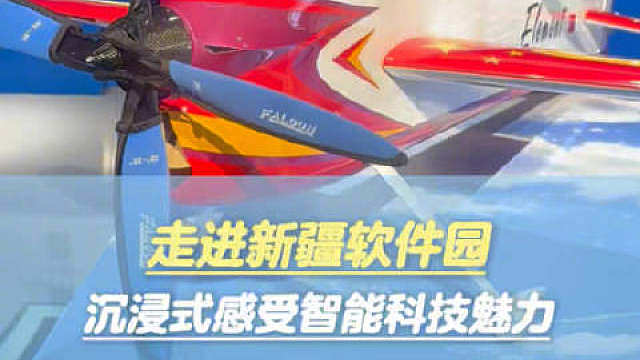 【走进新疆软件园 沉浸式感受智能科技魅力】
 ​​​