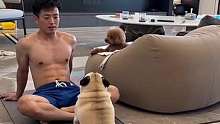 笑死我了，这狗子会的招数还挺多