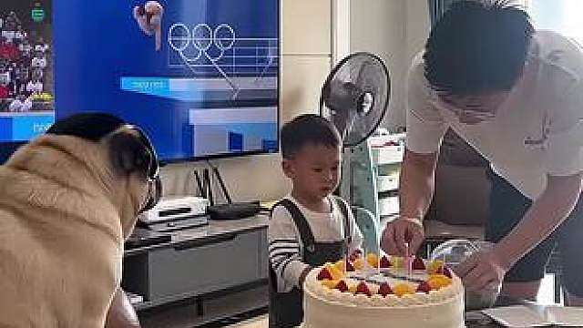这狗子太凶悍了，跳水技术一流