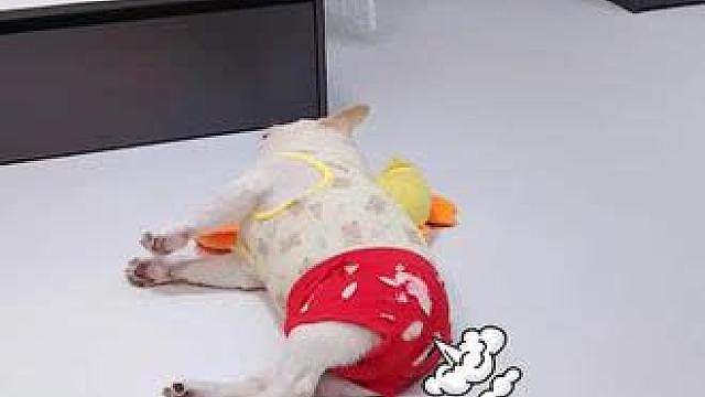 蔫坏！！肚子里除了粑粑，剩下的全是坏水！