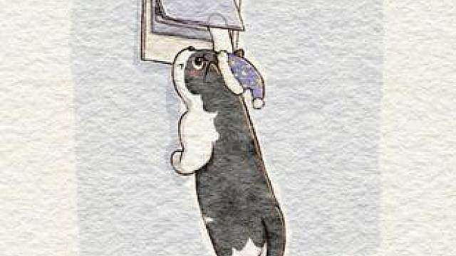 猫咪:我说它自己跳闸的，主人你信嘛