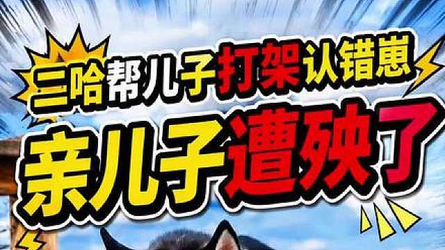 糊涂二哈替娃出头认错崽，把亲儿子揍了