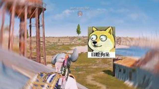我感觉你不太对