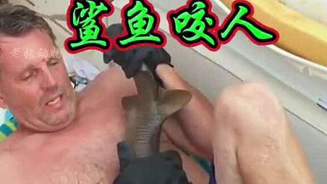 鲨鱼咬人。