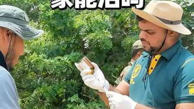 眼镜蛇钻进了大象的嘴巴里，救援人员用手掏
