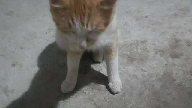 一言不合扭头就走