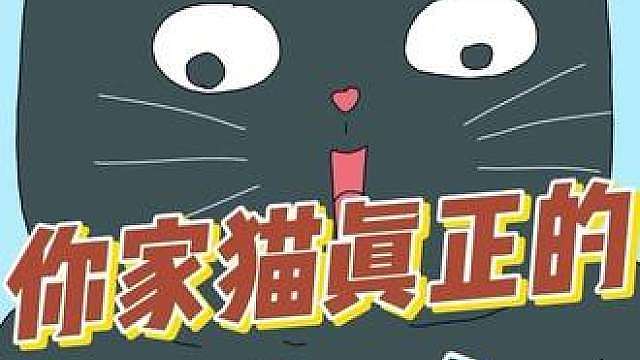你以为你是主人，其实不然，猫只认给它物质的作主人
你家猫是不是也对自动喂食器恭恭敬敬，在自动喂食器面前像个谄媚的小人