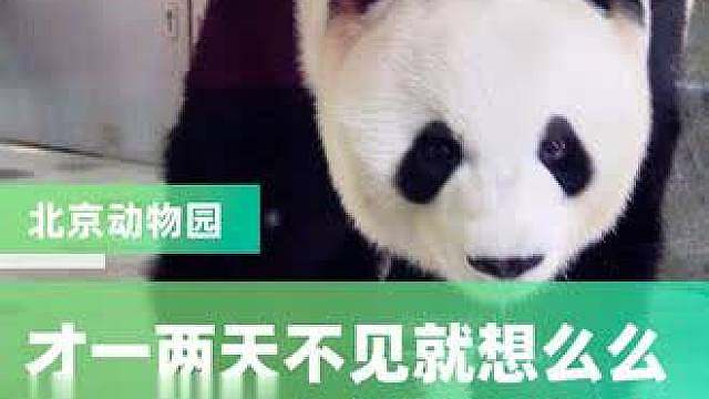 才一两天不见就想么么，大宝贝每个姿态都很馋人