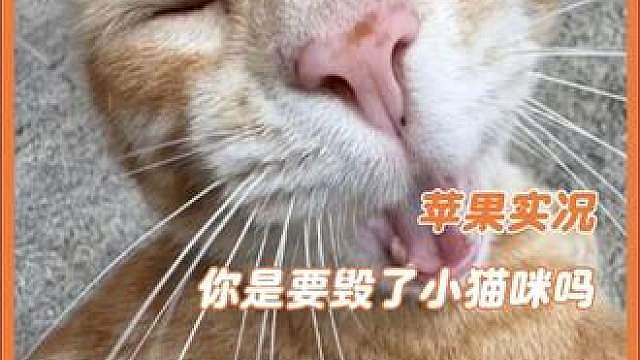苹果实况你还是太权威了