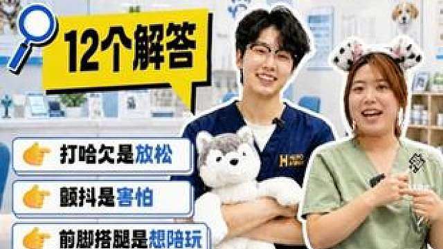 狗的十二个常见行为解答