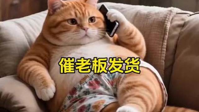 催老板发货，最后直接催生气了