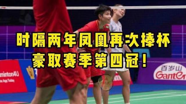 冯彦哲的杀球很软吗？为什么他能长期稳居世界第一？