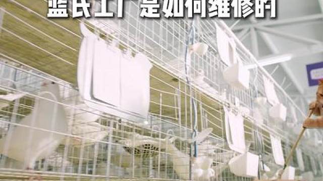 小猫在蓝氏工厂的一日vlog