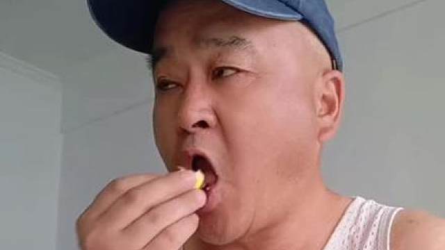 猫：看着也不什么好果子