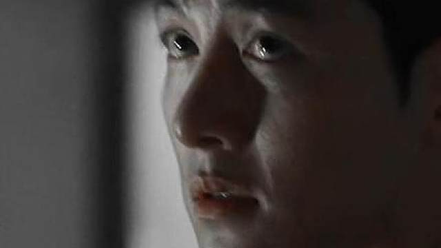 双A强制 爱