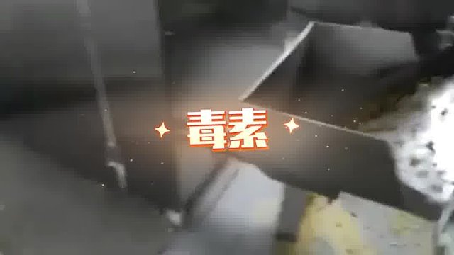 狗狗萎靡不振，很可能是狗粮的问题
