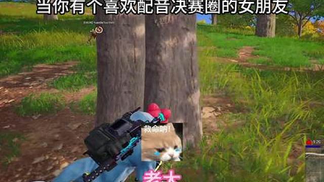 沉默内敛的人身边出现了聒噪的花孔雀