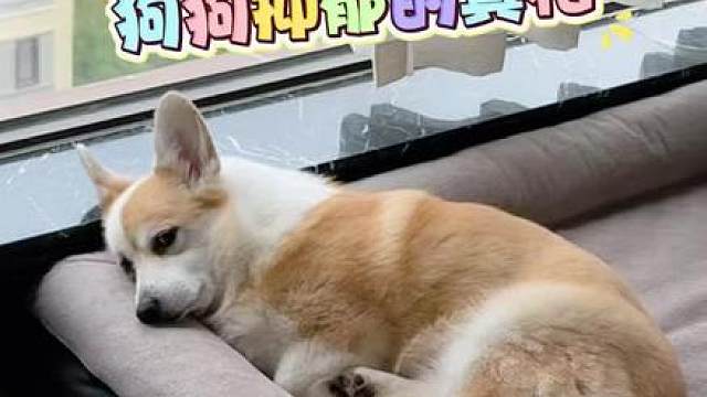 一己之力孤立全家