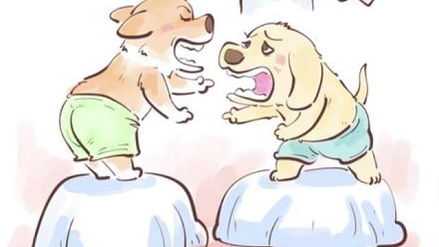 柯基:你卖不出去金毛:你才卖不出去