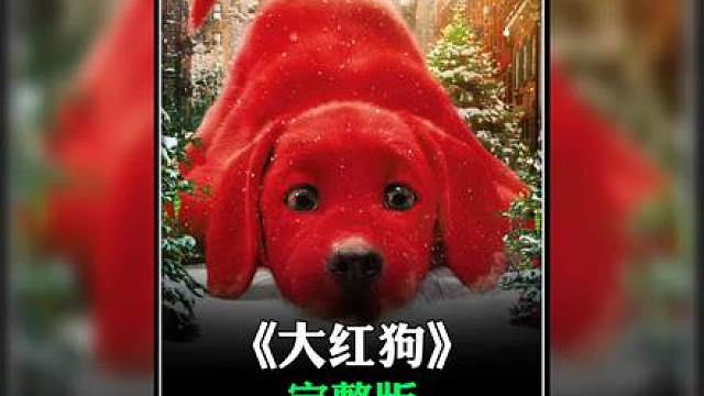 狗狗不懂富贵与贫穷，只要你对它好，它就会跟你一辈子！
