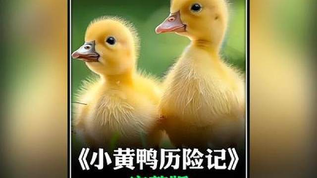 一只从坏蛋变成小黄鸭的冒险之旅！真的很治愈！