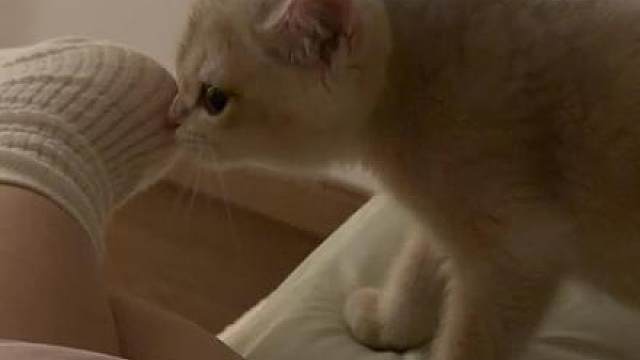 这是你们说的缺盐，我现在单纯觉得我家猫是个bt