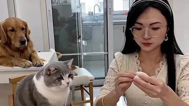 养这猫算栽了，一点不服管，真想退猫了