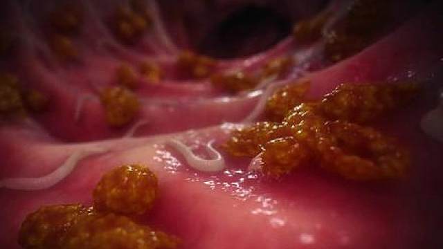 血缘不等于亲情医生能救身体却修复不了破碎的家
