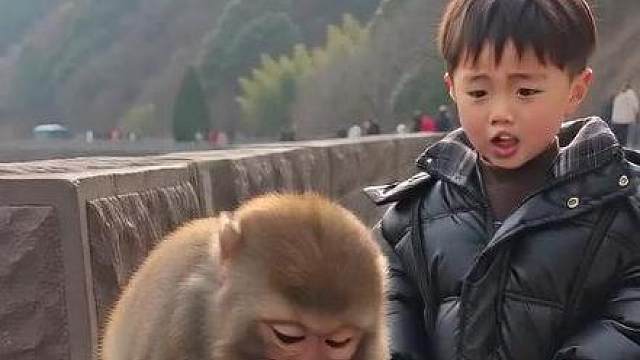 大阳又又又被小猴子整得闹情绪了。他根本不知道，小猴子拿他的锤子，是想帮他砸核桃。