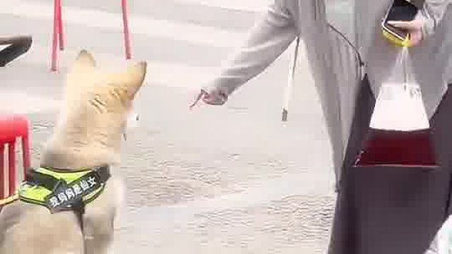 好样的