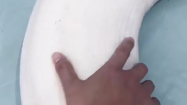 位置发下，我是许仙