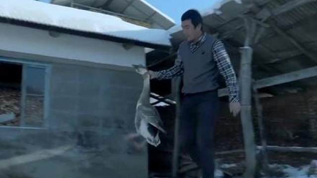 《冬天里》 七旬老人却被儿媳赶出家门!!!