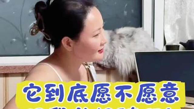 求十级猫语翻译！它是不是不愿意跟我长相随啊
